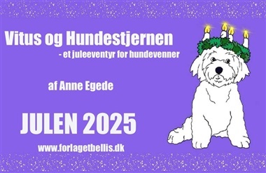 Vitus og hundestjernen - 13. December