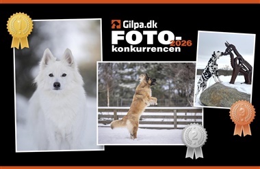 Vinderne af fotokonkurrencen er fundet