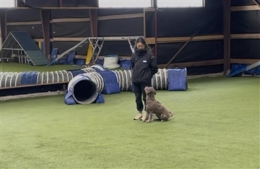 Praktisk eksamen p&aring; instrukt&oslash;ruddannelsen