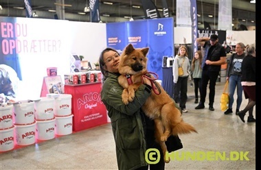 Ding Dong – Herning kalder! Oplev &aring;rets st&oslash;rste hundefest til Winter Wonder Show