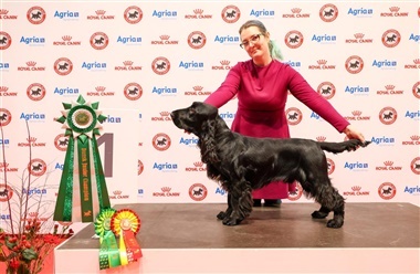 Fra Estland til Fredericia: En rejse for titler