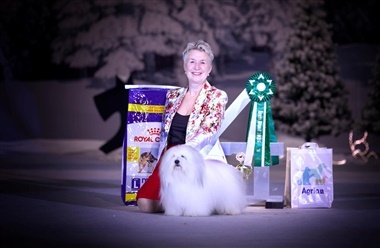 Fra Falster til World Dog Challenge