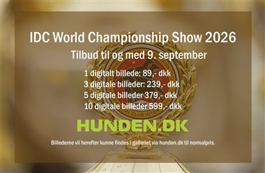Billederne fra IDC World Championship Show 2026 er online