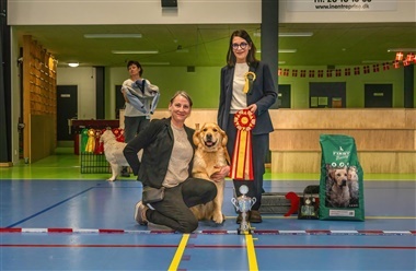 DRK g&oslash;r klar til juleudstilling i K&oslash;ge i morgen