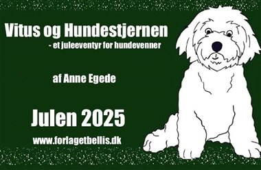 Vitus og hundestjernen - 16. December