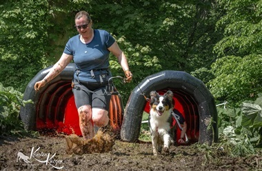 Over 800 hunde indtog Ledreborg