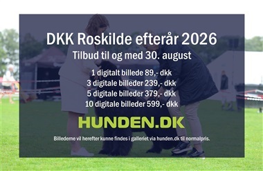Alle billeder fra Roskilde er online