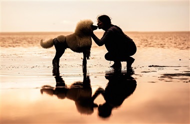 Tak for dig, hund