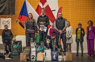 Dansk medaljeregn ved EM i Dog Dancing