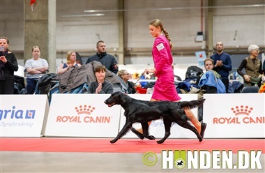 Galleri: Se de placerede juniorhandlere fra Fredericia