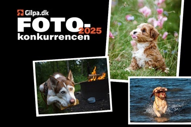 Send os dit bedste foto 