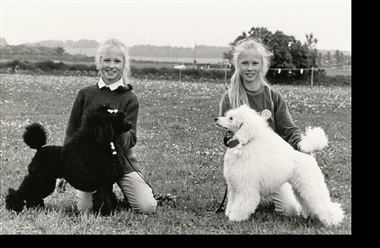 G&aring; p&aring; opdagelse i hundehistorien