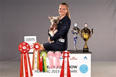 European Dog Show Herning (Alle billeder online)