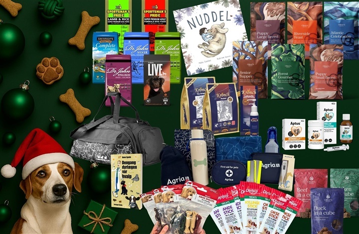 December byder p&aring; masser af hundehygge