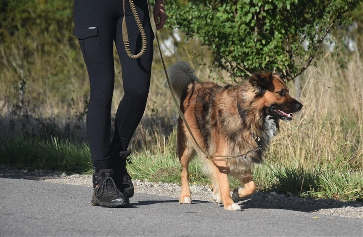 G&aring; p&aelig;nt i snor – s&aring;dan kommer du videre med tr&aelig;ningen