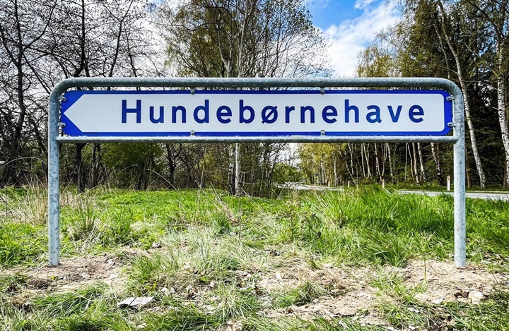 Vi Passer Hund vokser – nu leder hundeb&oslash;rnehaven efter nye rammer