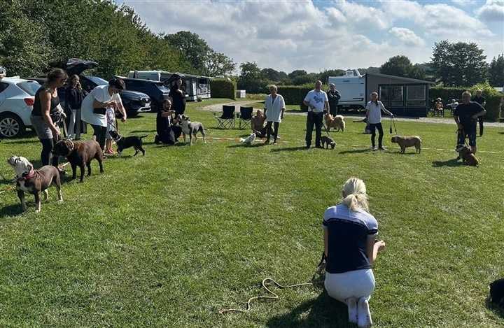 Hundematch blev en k&aelig;mpe succes p&aring; Boeslunde Camping
