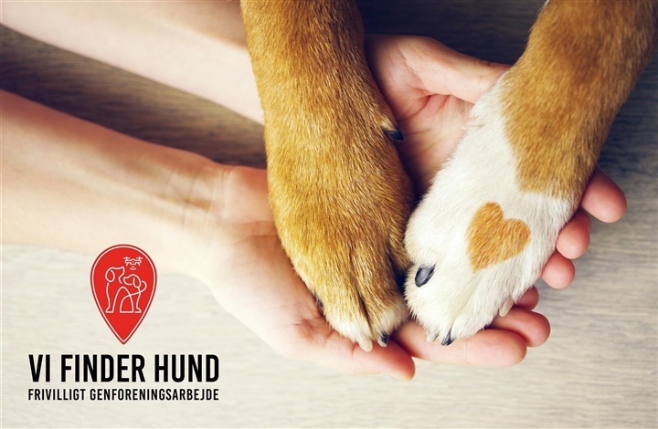 Vi Finder Hund: S&aring;dan sikrer du din hund i nyt&aring;ret, og hvad du g&oslash;r, hvis uheldet sker