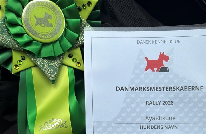 Fra f&oslash;rste rallypr&oslash;ve til DM p&aring; under et &aring;r