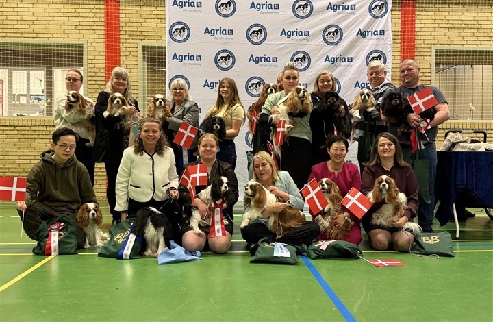 Cavalierklubben sk&oslash;d udstillings&aring;ret i gang i Aunslev