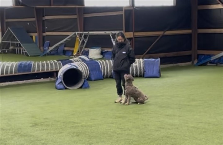 Praktisk eksamen p&aring; instrukt&oslash;ruddannelsen