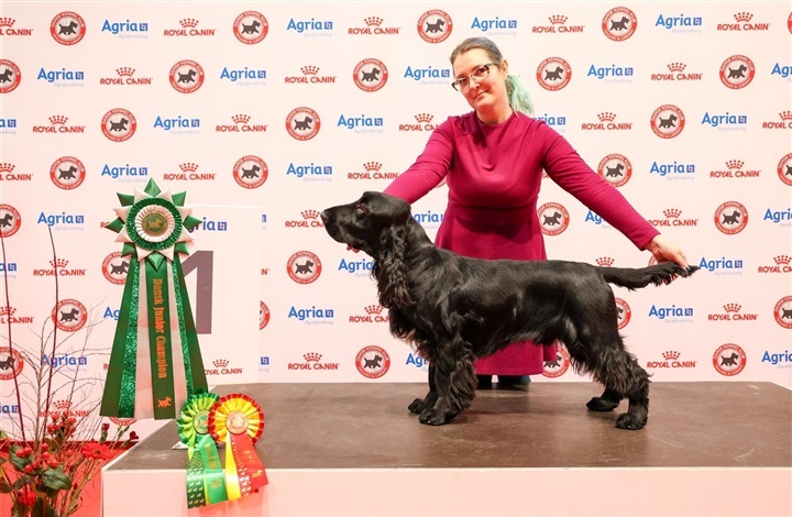 Fra Estland til Fredericia: En rejse for titler