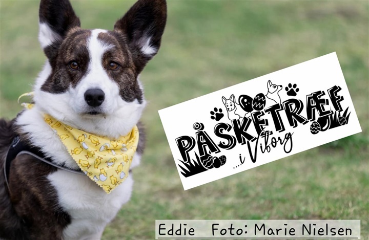 Rekordh&oslash;j opbakning til &aring;rets P&aring;sketr&aelig;f i Viborg