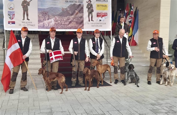 Danske hunde i VM-kamp i Serbien