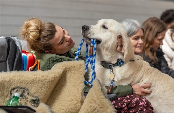 Taknemmelighed: En hyldest til de hunde, der banede vejen