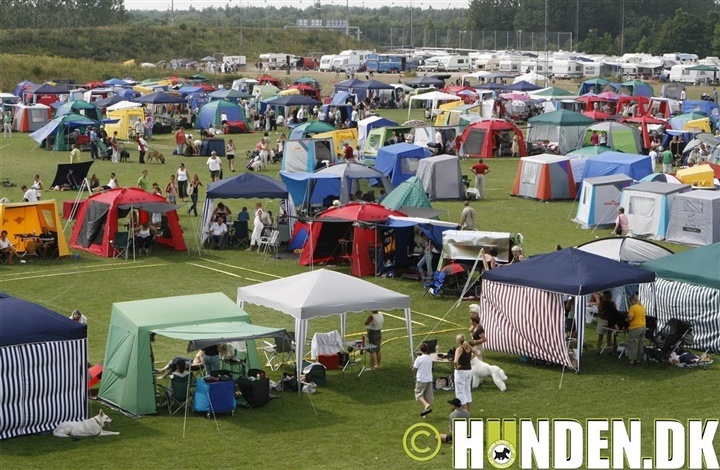 Sidste frist til Roskilde-udstillingen n&aelig;rmer sig