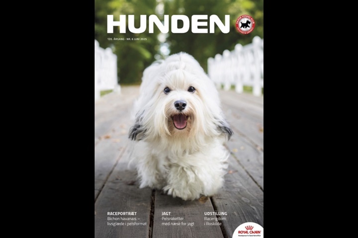Det nye HUNDEN magasin er her! 