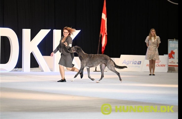 Har du set alle billederne?