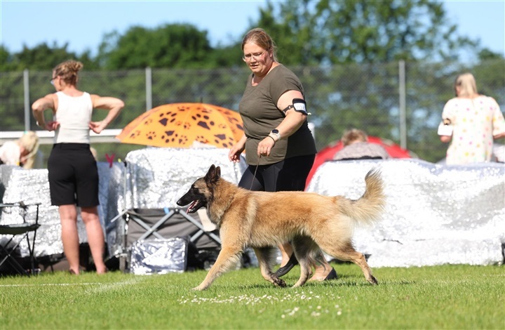Sidste chance for Roskilde