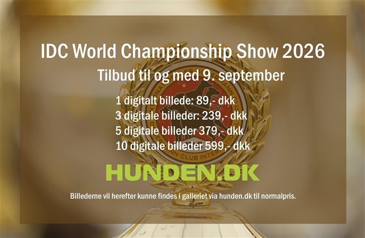 Billederne fra IDC World Championship Show 2026 er online