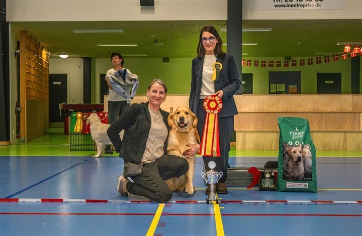 DRK g&oslash;r klar til juleudstilling i K&oslash;ge i morgen