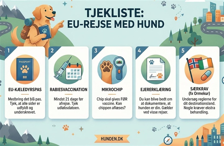 Rejse med hund: Reglerne i EU 2026