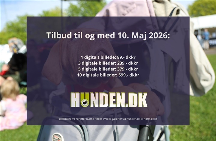 Billederne fra Roskilde er online