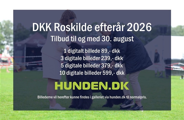 Alle billeder fra Roskilde er online