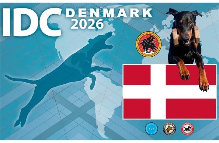 Dobermann VM i Ansager: Oplev verdenseliten