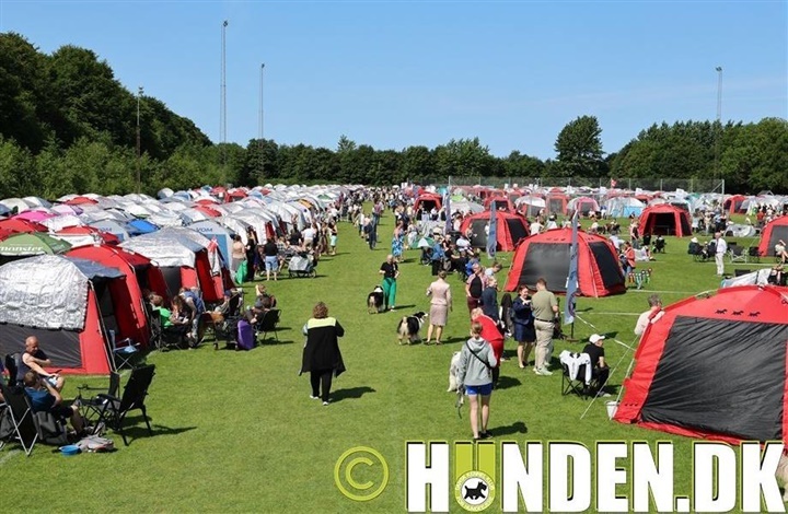Se alle billederne fra Vejen