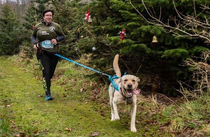 Canicross for alle hundeglade l&oslash;bere