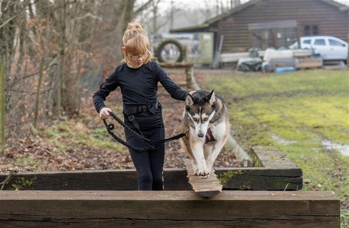 Hvad l&aelig;rer b&oslash;rn af hunde?