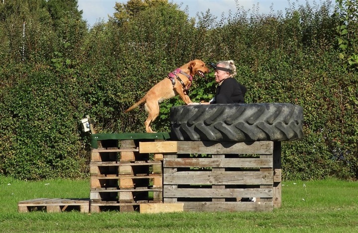 Mudder, hunde og f&aelig;llesskab – min weekend med K9 Biathlon