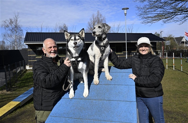 Fra hundeskov til bryllupsrejse med Nova og Oskar