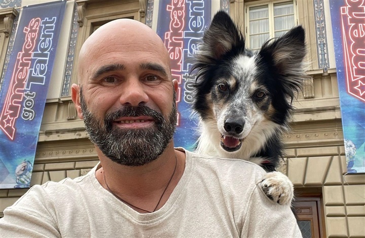 Verdensber&oslash;mt hund i Danmark